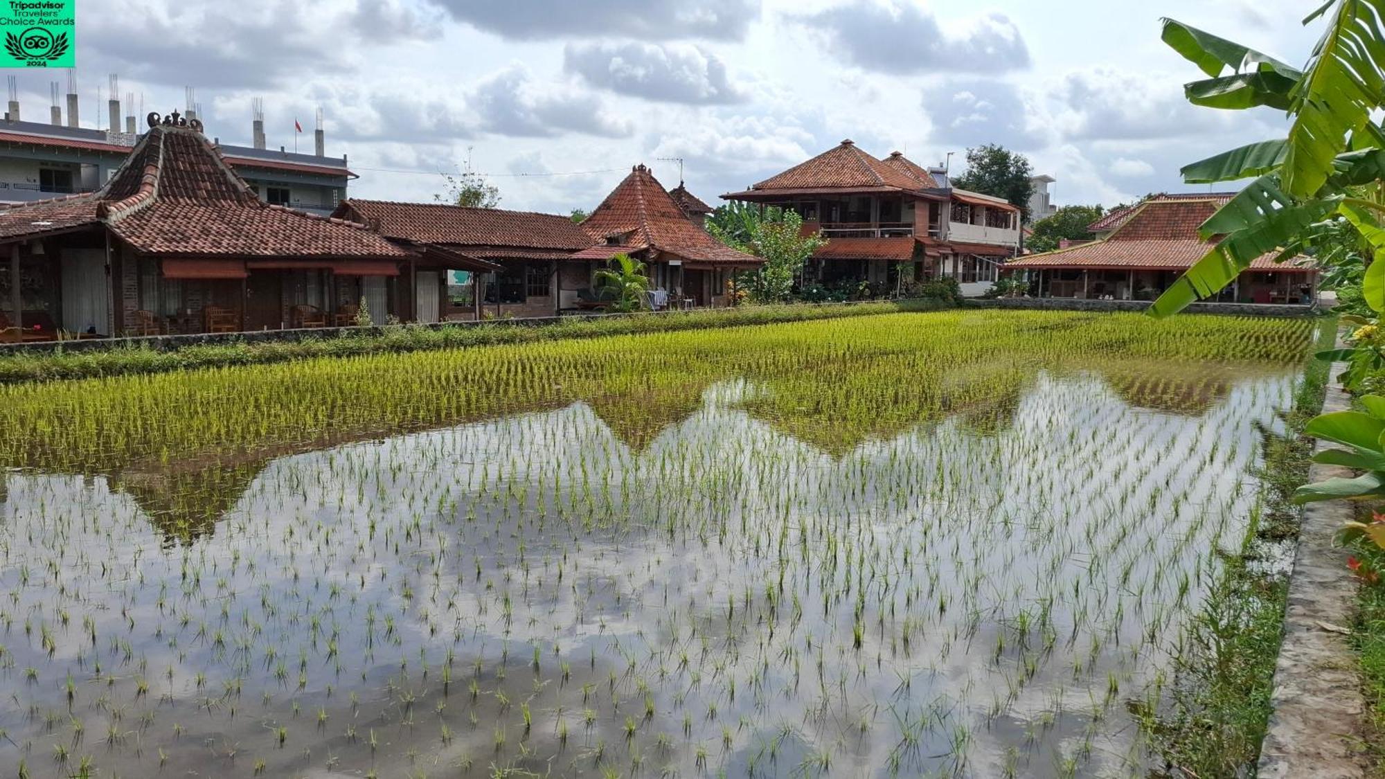 Alamanda Family Villas, Pool & Local Tours Yogyakarta Exterior photo
