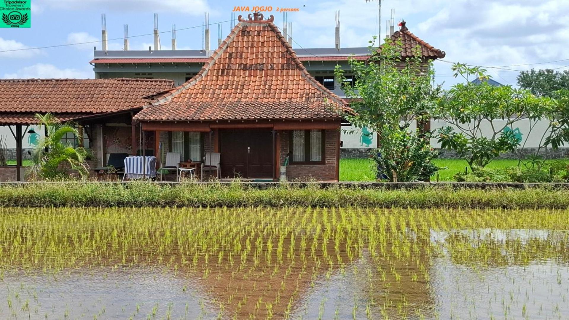 Alamanda Family Villas, Pool & Local Tours Yogyakarta Exterior photo