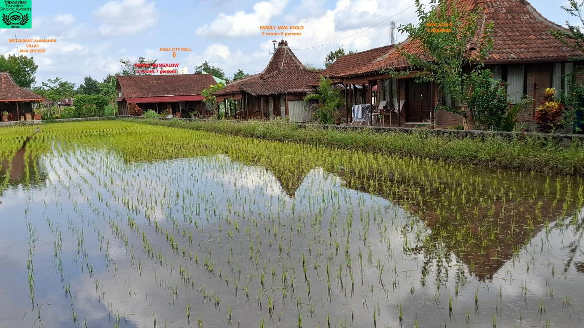 Alamanda Family Villas, Pool & Local Tours Yogyakarta Exterior photo
