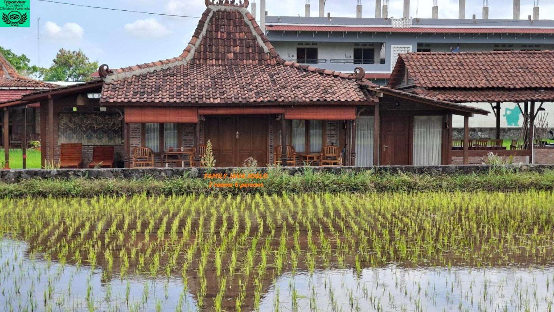 Alamanda Family Villas, Pool & Local Tours Yogyakarta Exterior photo